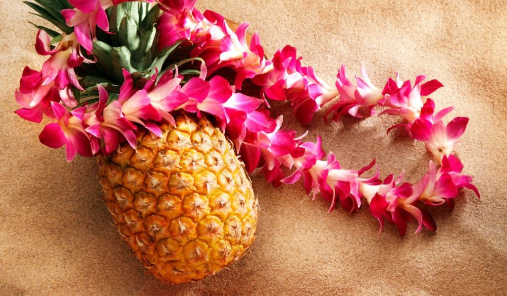 Hawaiian Luau Party